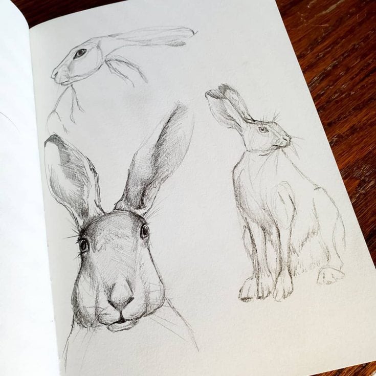 12+ Cute Animal Sketch Ideas for Beginners - Mom's Got the Stuff