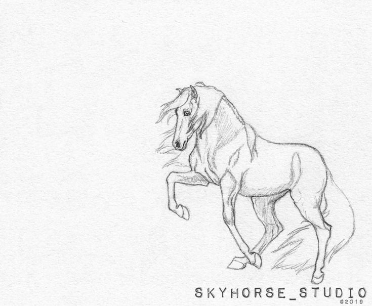 horse sketch