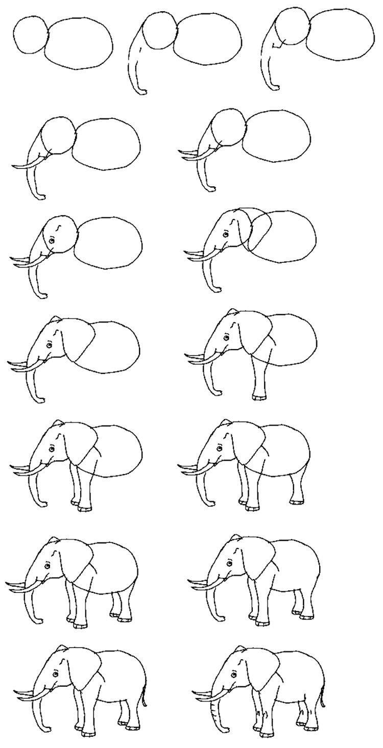 Featured image of post Cute Creatures Drawings Easy - When you first start learning how to draw, start out with multiple, light lines as you go and then darken the line you want to keep.