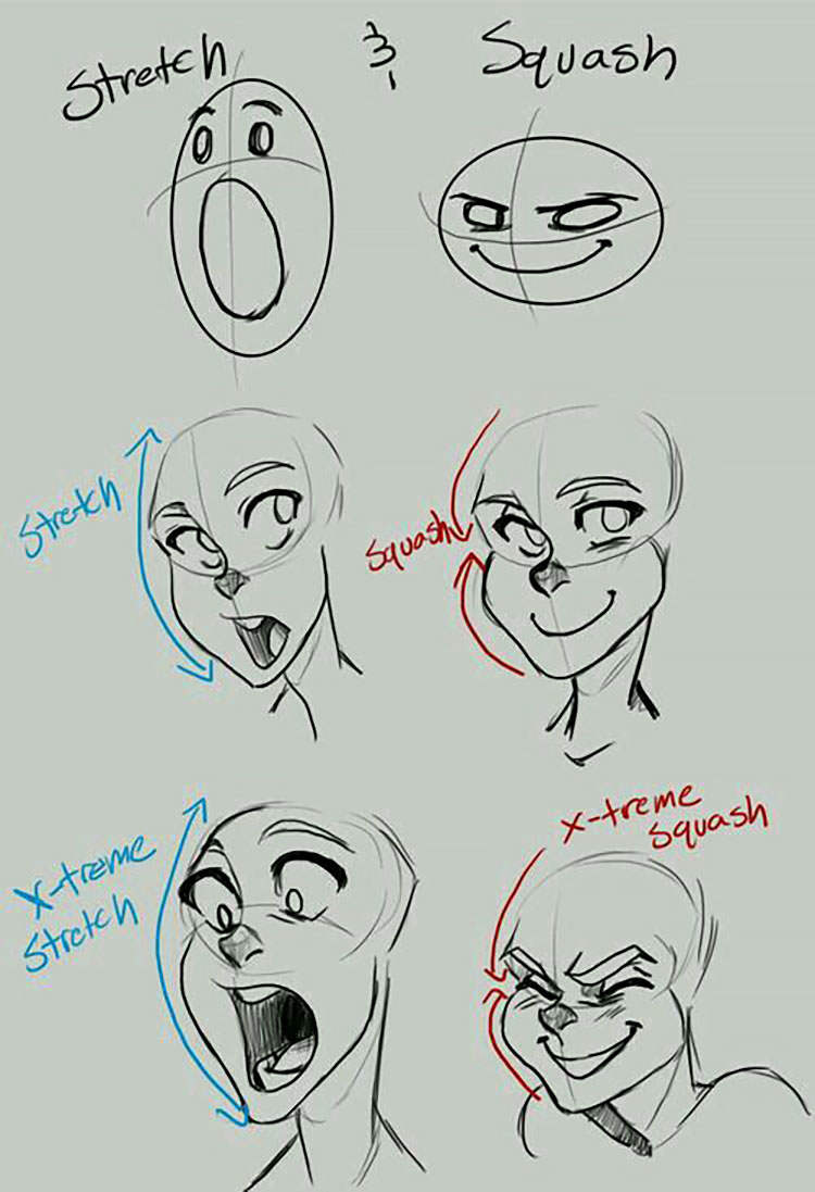 STRETCH VS SQUASH FACE DRAWING