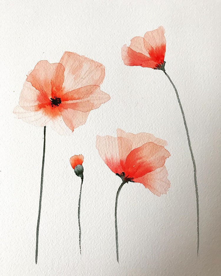 WATERCOLOR POPPY FLOWERS