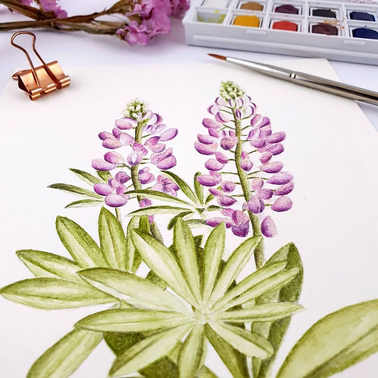 WATERCOLOR LAVENDER FLOWERS