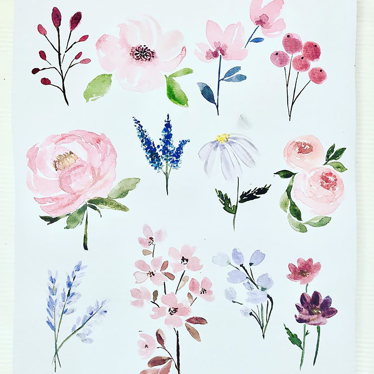 COLLECTION OF WATERCOLOR FLOWERS