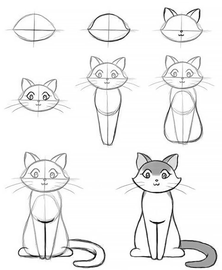 cat drawing ideas