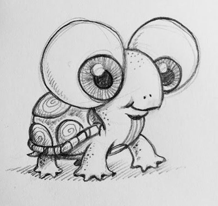 BABY TURTLE DRAWING