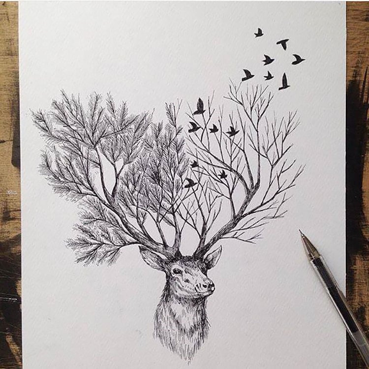 deer and antlers