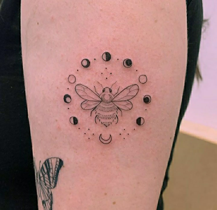 bee with moon phases