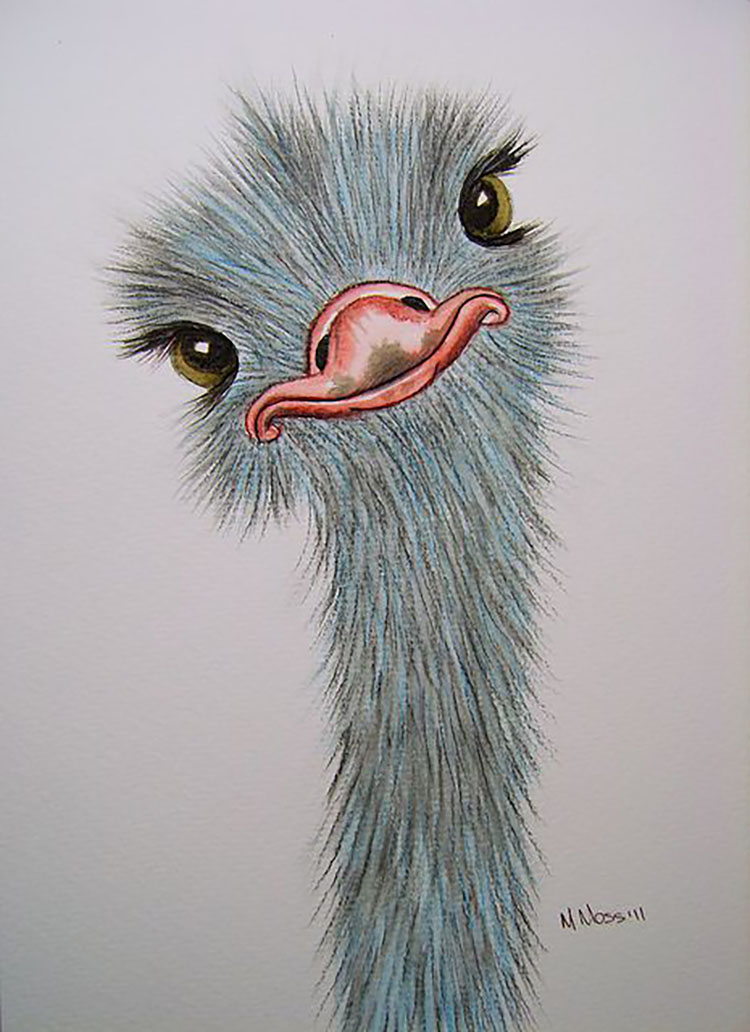OSTRICH