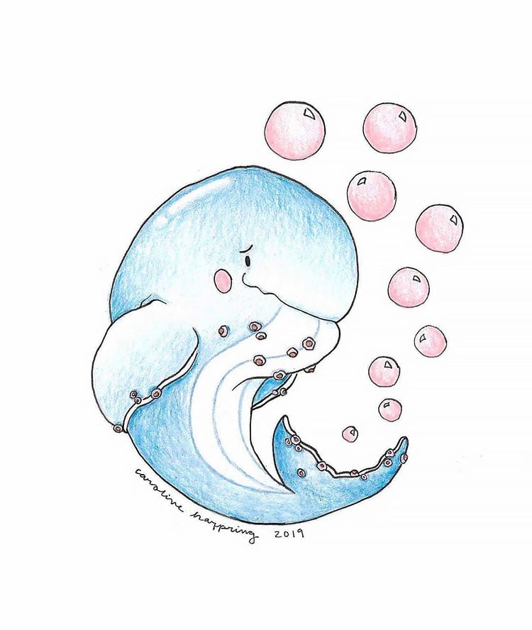 WHALE WITH BUBBLES EASY DRAWING IDEA