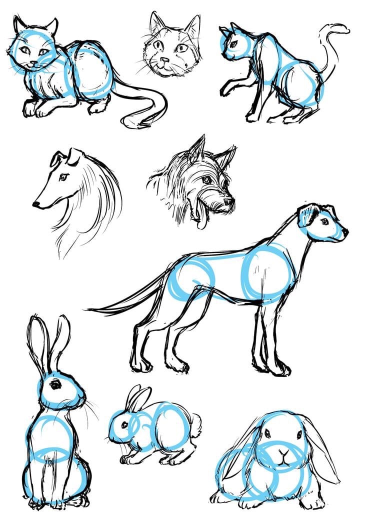 24 Cute Animal Sketch Ideas for Beginners - Mom's Got the Stuff