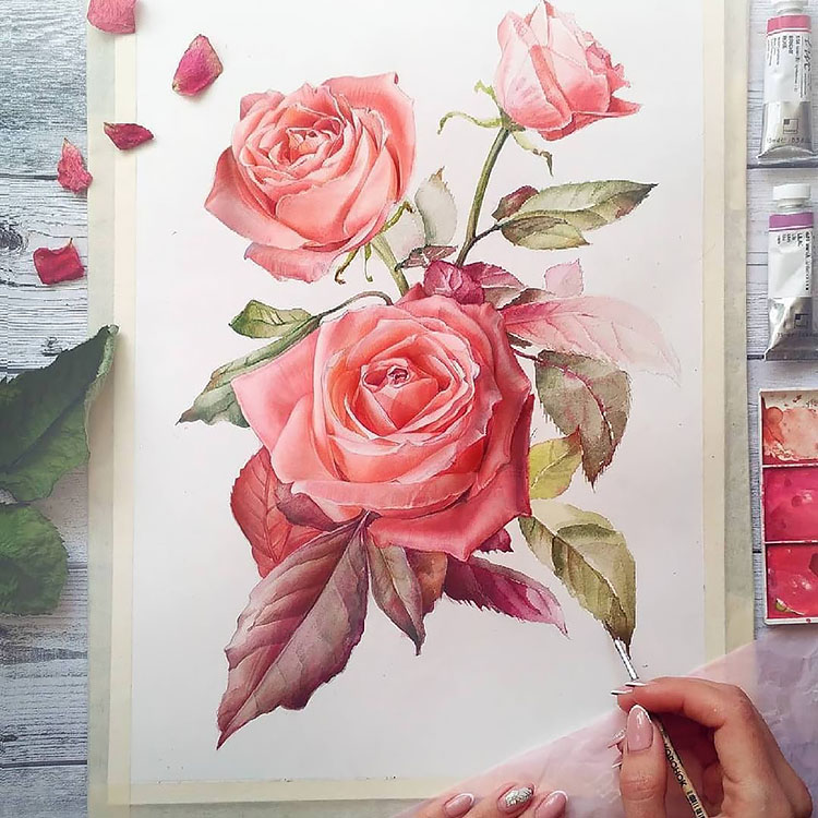 large rose painting
