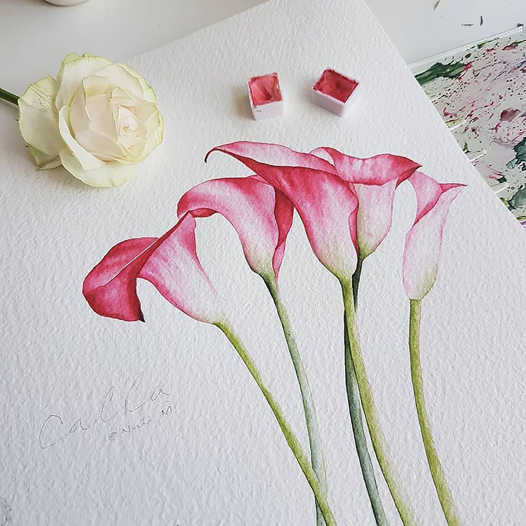 calla lily flower painting