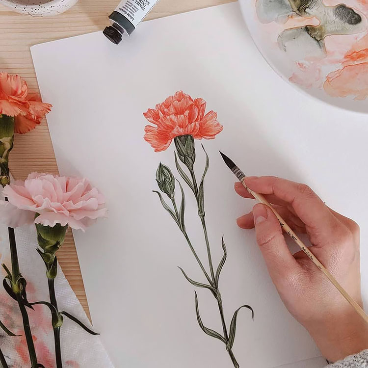 CARNATION WATERCOLOR