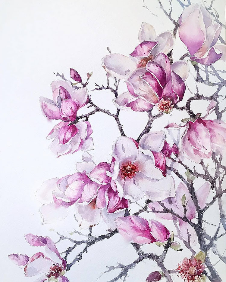 purple flowers with branches