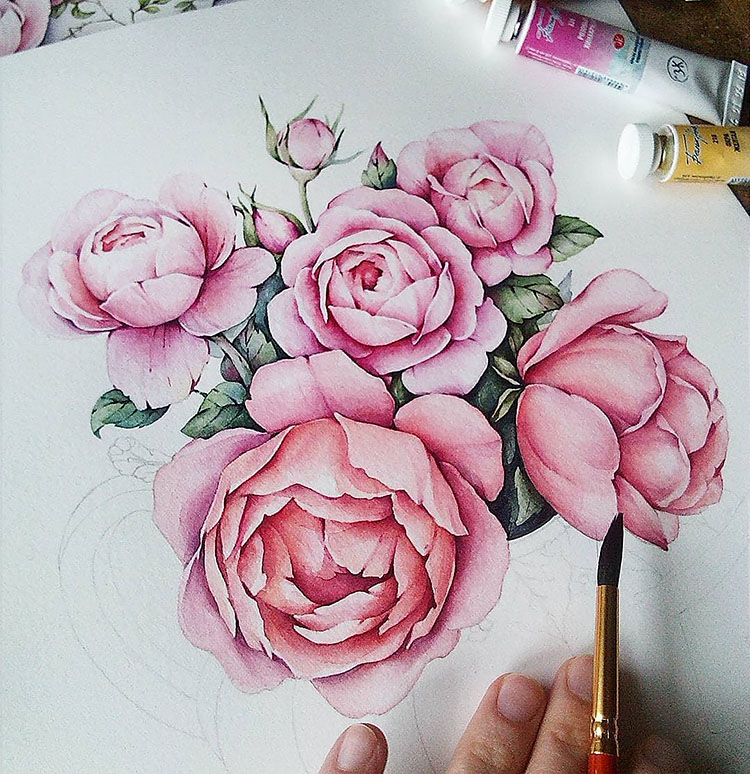 pink roses watercolor