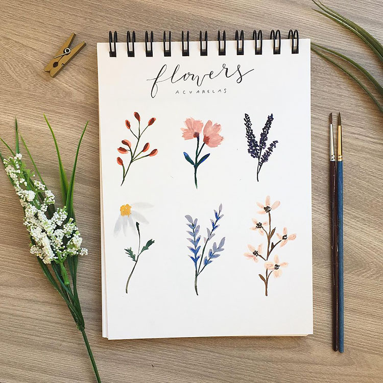 SIX DIFFERENT WATERCOLOR FLOWERS