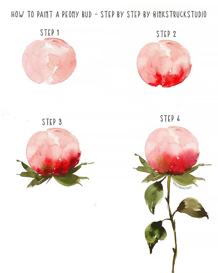 How to Paint a Peony Bud