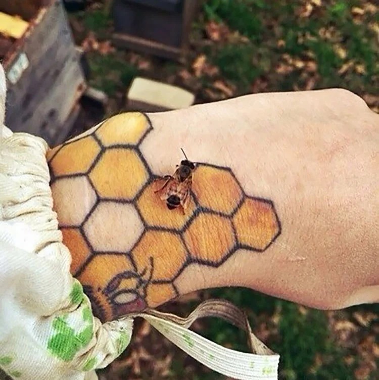 honeycomb on hand
