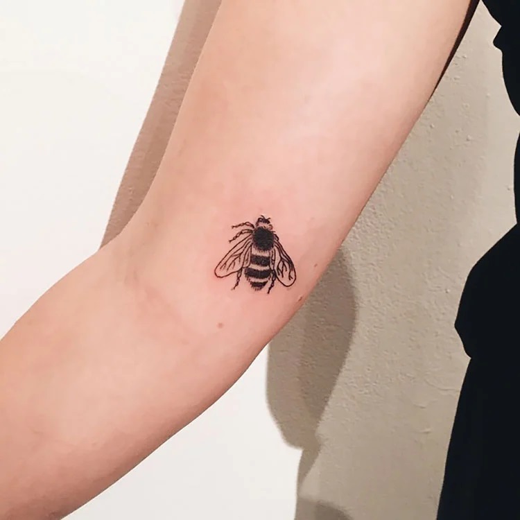 large bee on arm