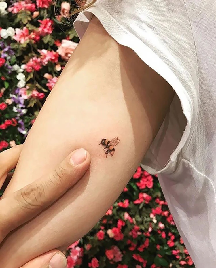 small bee on arm in landing position
