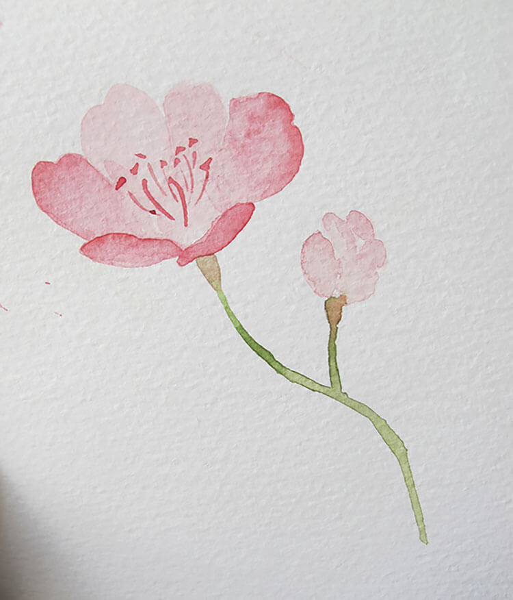simple pink flower