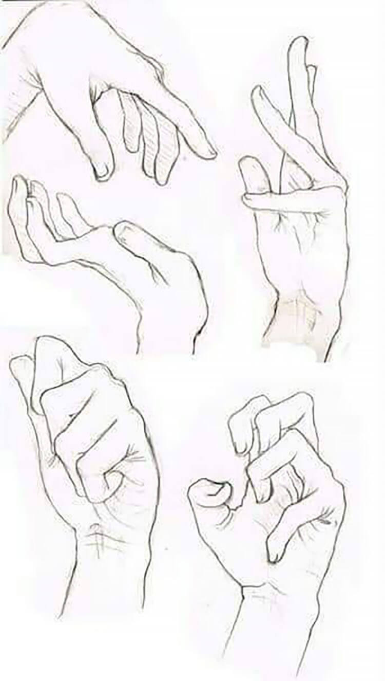 hand anatomy