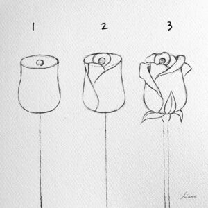 how to draw a rose