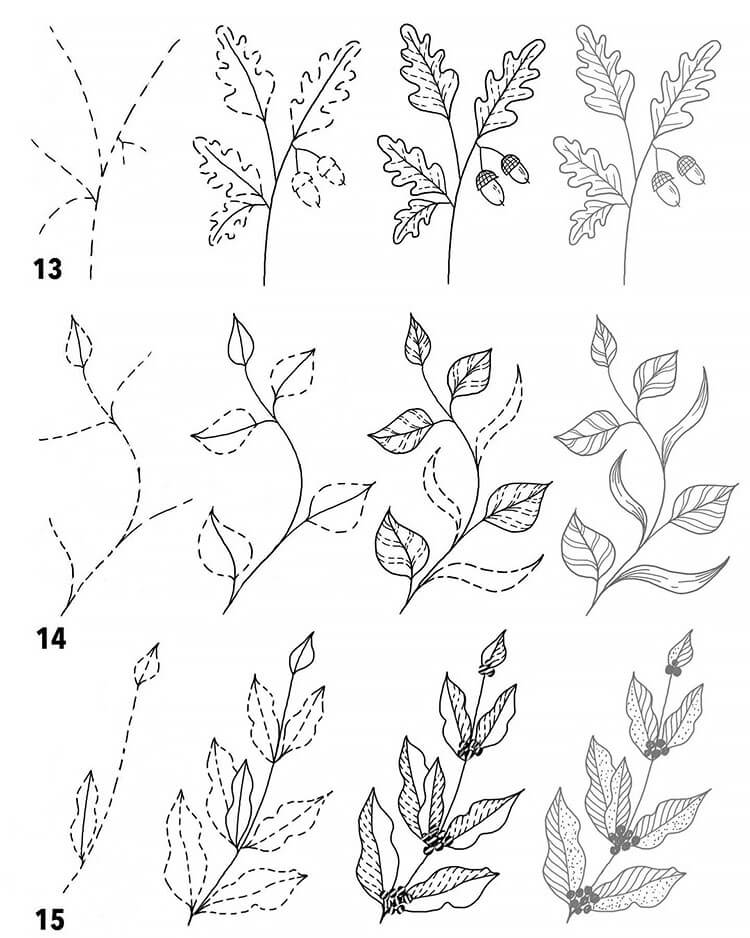 HOW TO DRAW LEAVES