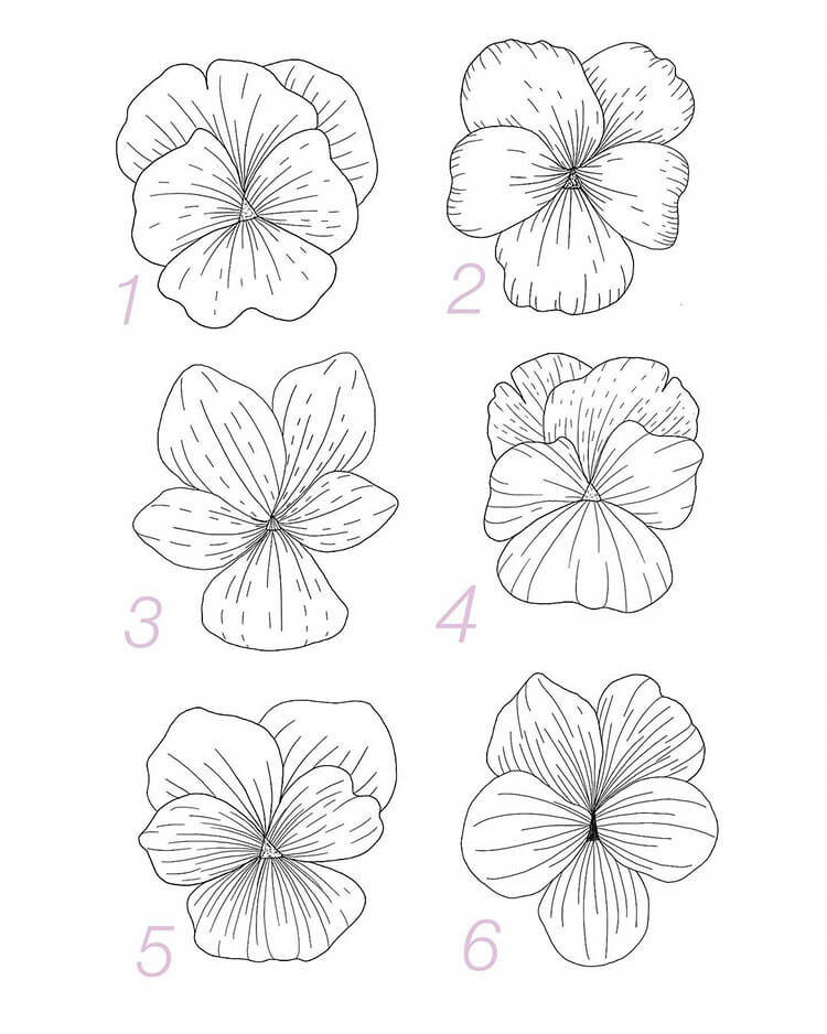 HOW TO DRAW A VIOLET