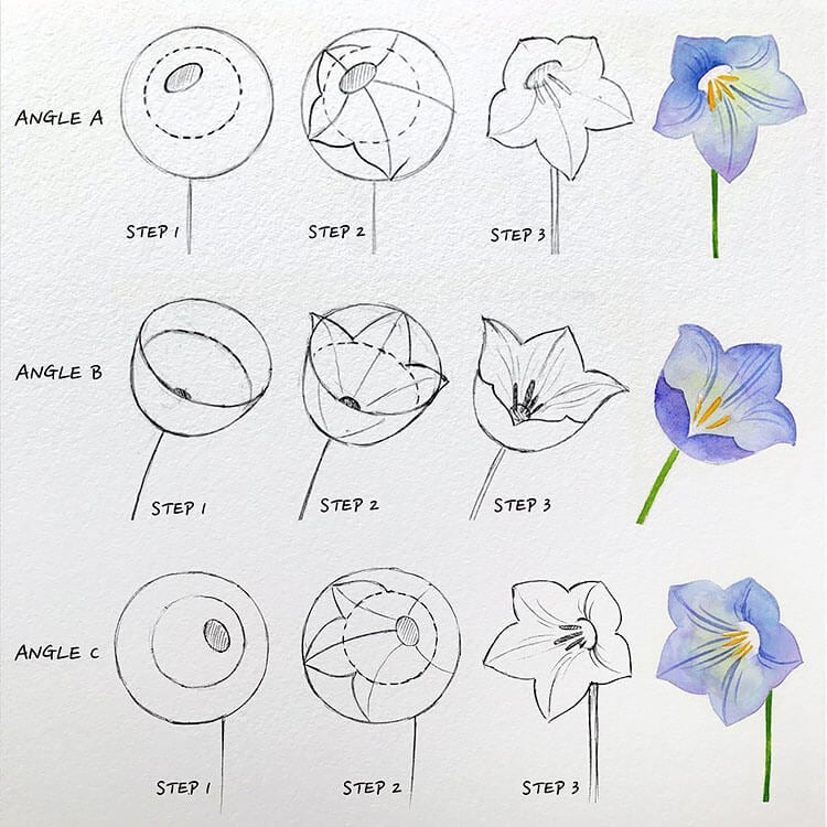 how to draw balloon flowers