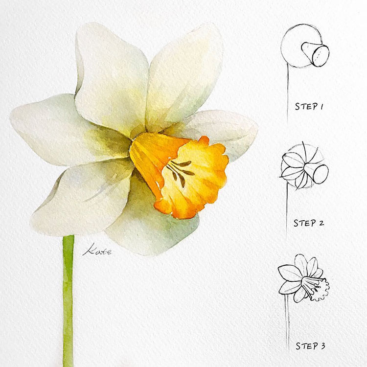 How to Draw a Daffodil
