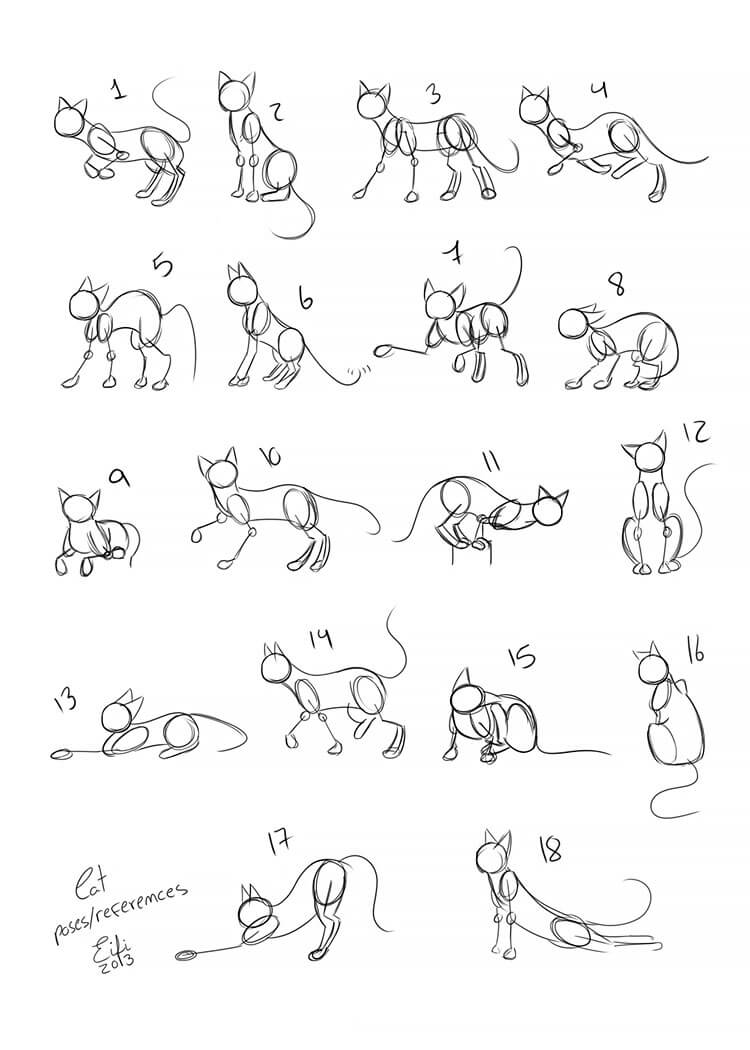 CAT POSES
