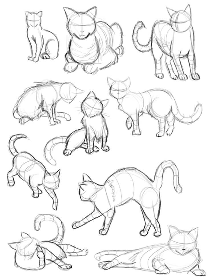 CAT GESTURES