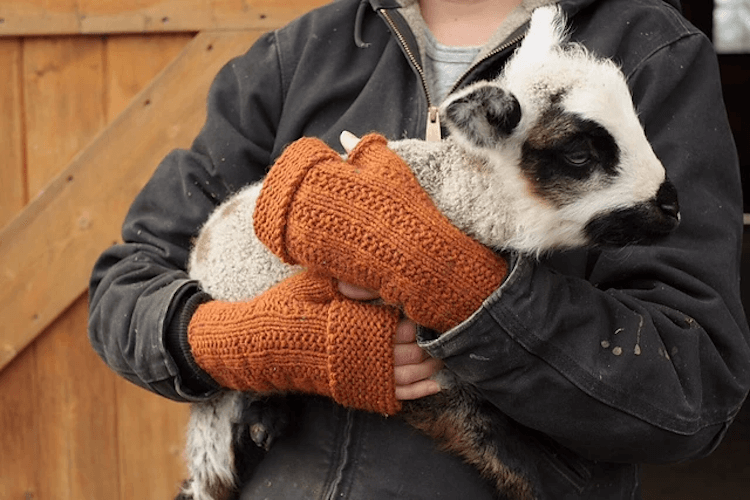 fingerless gloves for farmers