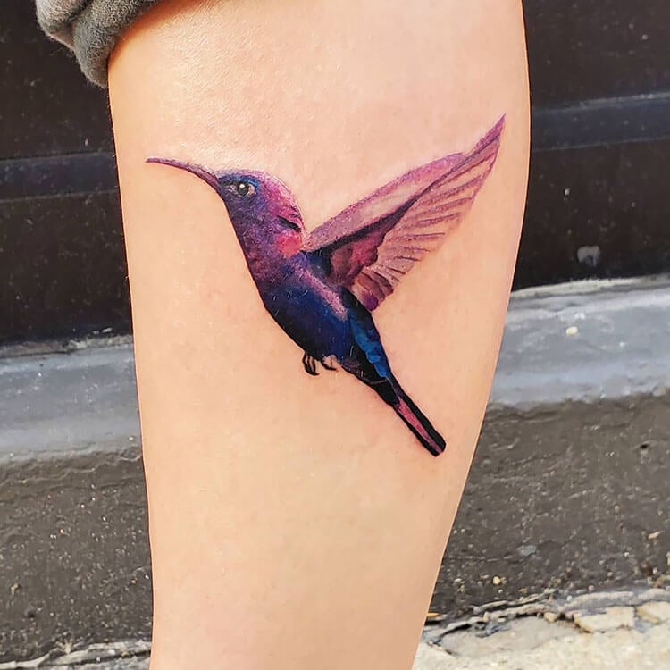 purple hummingbird