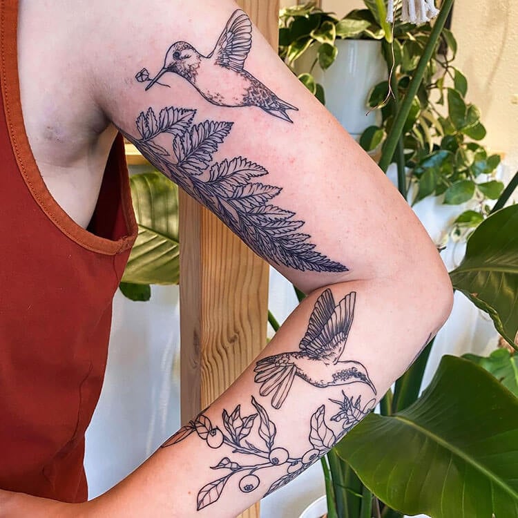 hummingbird with fern tattoo