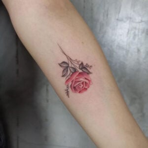 rose tattoo