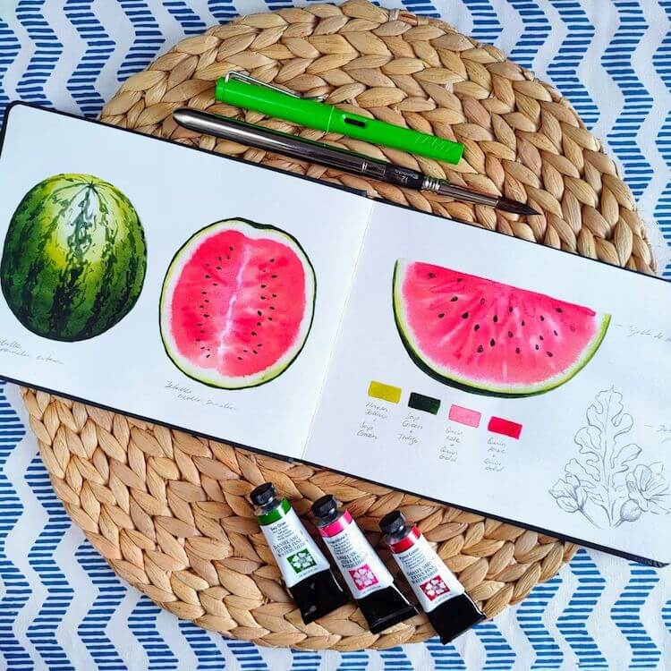Watercolor Watermelon