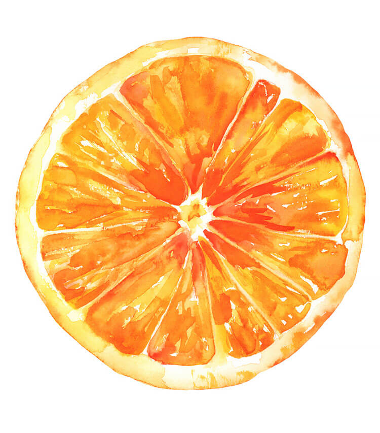 Watercolor Orange Slice