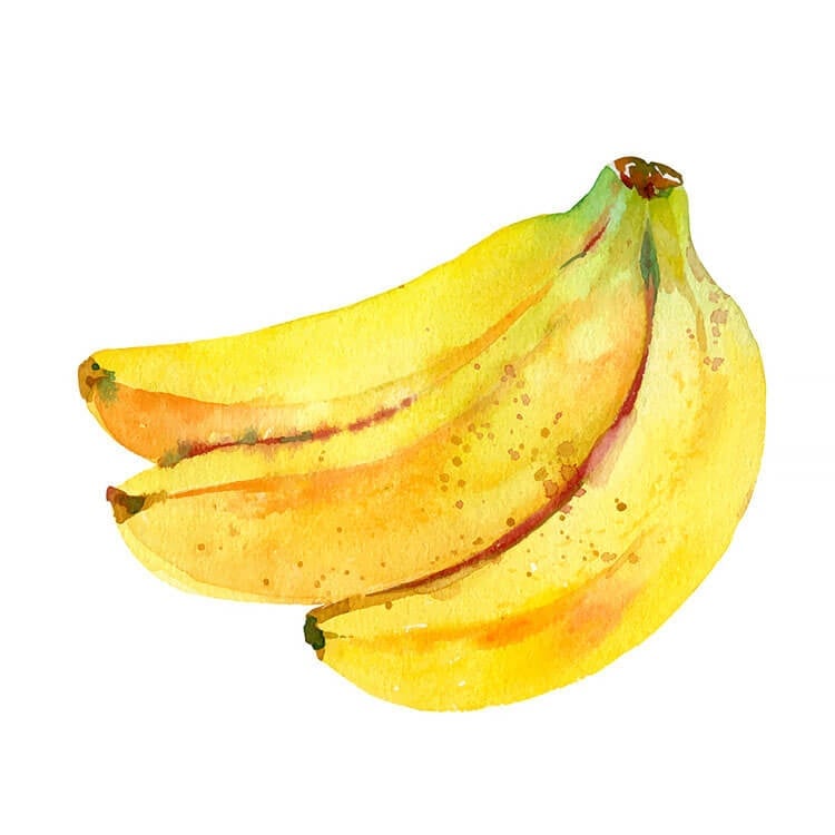 Watercolor Bananas