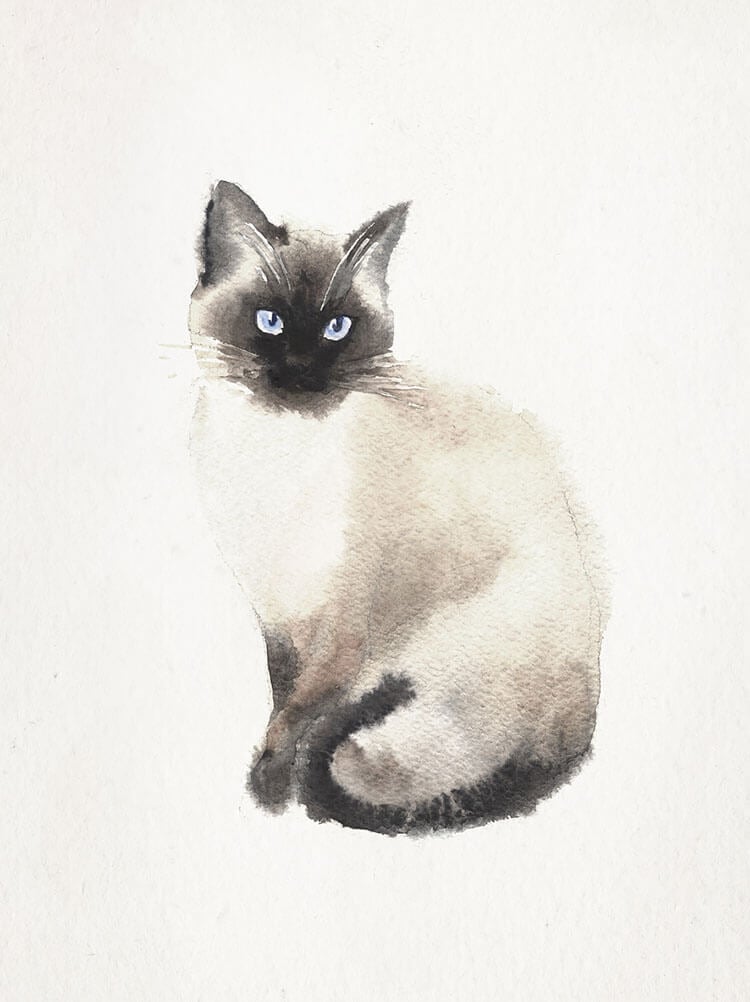 Siamese Cat Painting