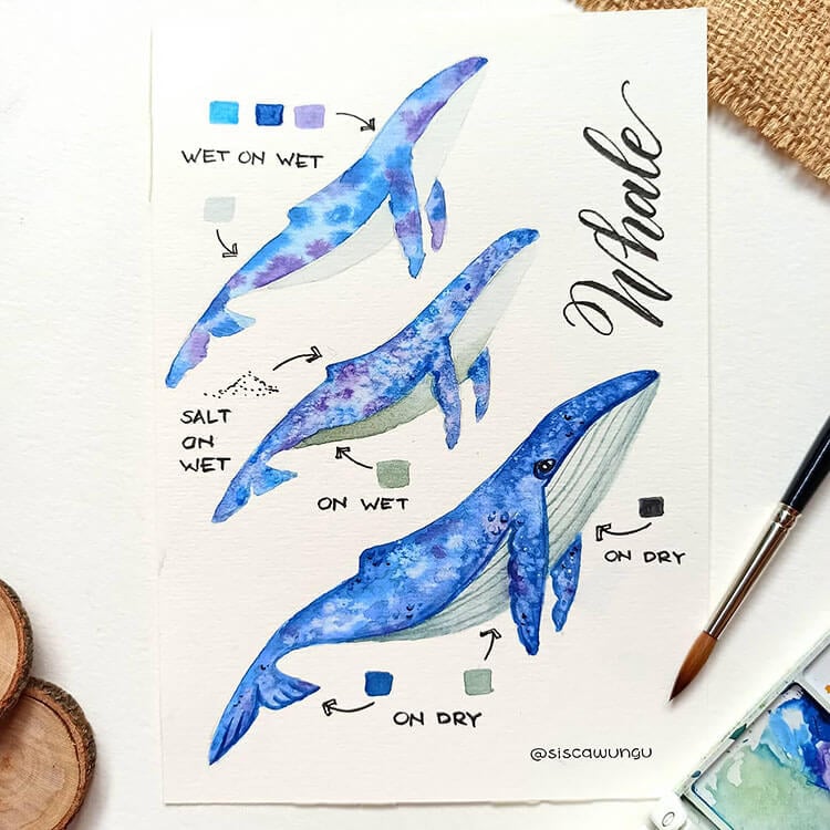 How to Paint a Whale