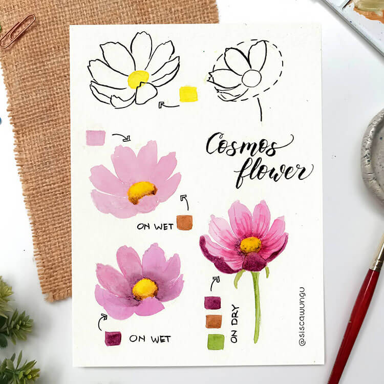 How to Paint a Cosmos Flower