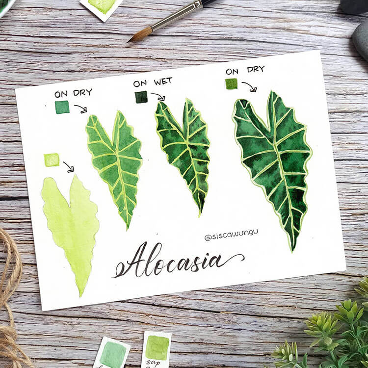 How to Paint an Alocasia