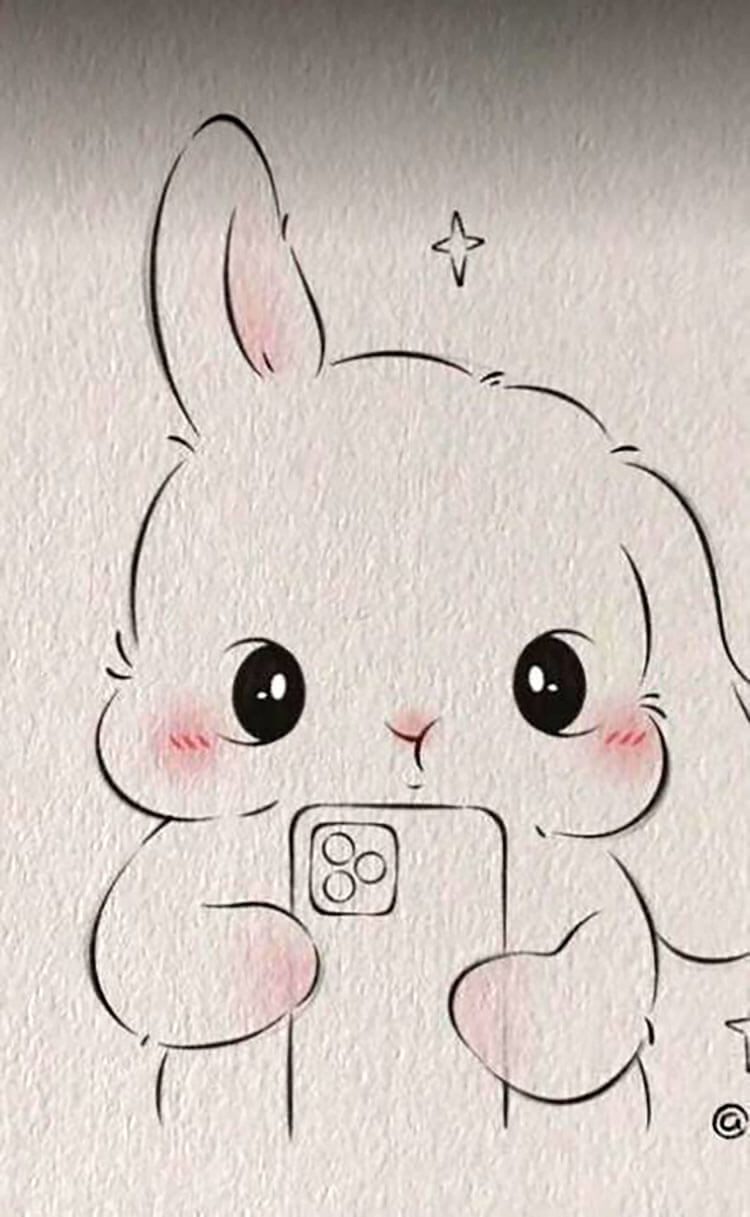 bunny drawing