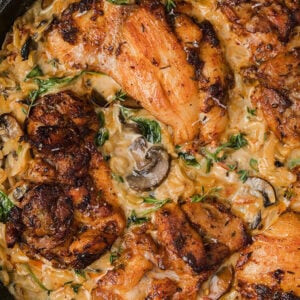 Creamy Chicken Orzo