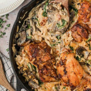 orzo chicken feature